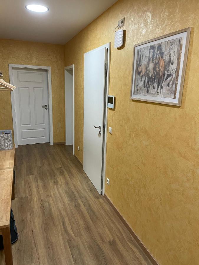 Apartment-Haus Landeskrone Dresden Eksteriør bilde